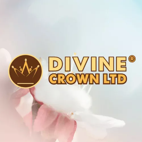 Divine Crown Portfolio